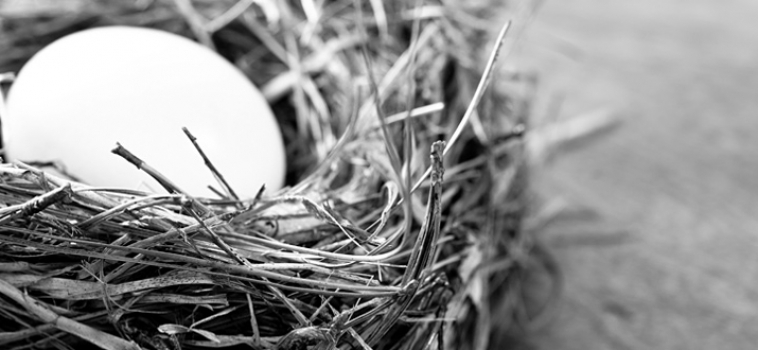 Florence Knapp & The Secret of the Settlement Nest Egg